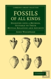 Fossils Of All Kinds