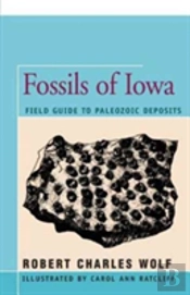 Fossils Of Iowa