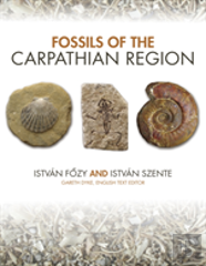 Fossils Of The Carpathian Region