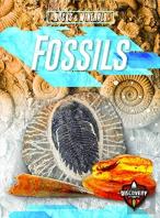 Fossils