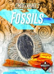 Fossils