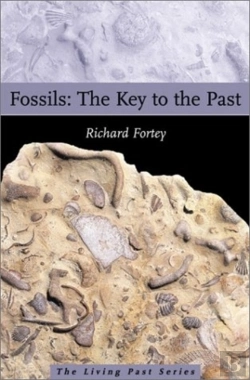 Bertrand.pt - Fossils