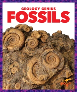 Bertrand.pt - Fossils