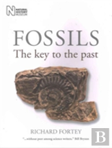 Fossils