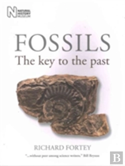 Bertrand.pt - Fossils