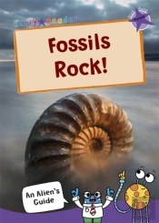 Fossils Rock!