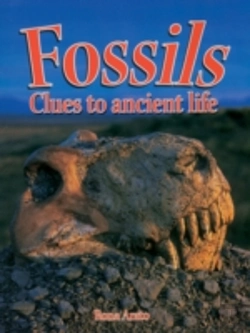 Bertrand.pt - Fossils