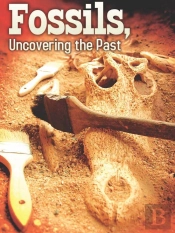 Fossils