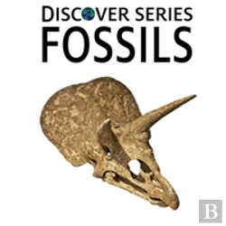 Bertrand.pt - Fossils