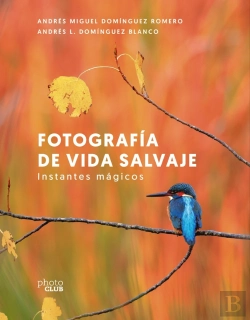 Bertrand.pt - Fotografía De Vida Salvaje. Instantes Mágicos