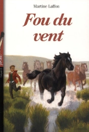 Fou Du Vent (Édition 2012)