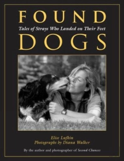 Bertrand.pt - Found Dogs