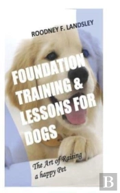 Foundation Training & Lessons For Dogs