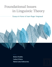 Foundational Issues In Linguistic Theory