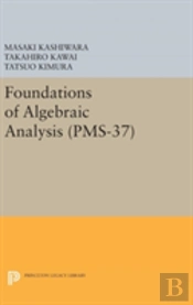 Foundations Of Algebraic Analysis