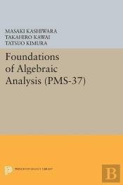 Foundations Of Algebraic Analysis