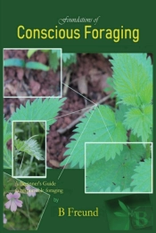 Foundations Of Conscious Foraging