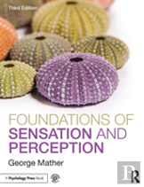Foundations Of Sensation And Perception