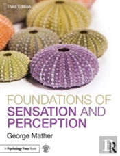 Foundations Of Sensation And Perception