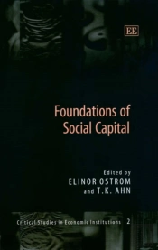 Foundations Of Social Capital