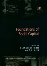 Foundations Of Social Capital