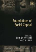 Foundations Of Social Capital