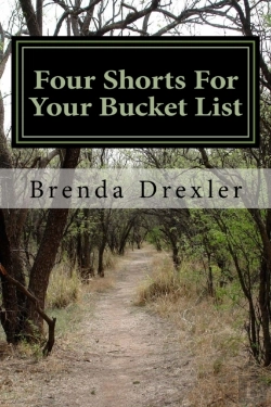 Bertrand.pt - Four Shorts For Your Bucket List