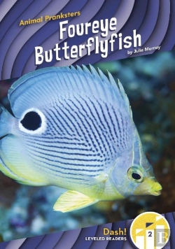Bertrand.pt - Foureye Butterflyfish