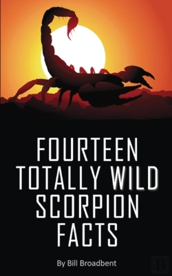 Bertrand.pt - Fourteen Totally Wild Scorpion Facts
