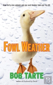 Fowl Weather