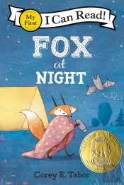Fox At Night