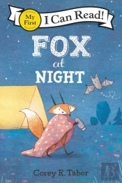 Fox At Night