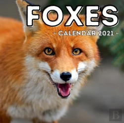 Bertrand.pt - Foxes Calendar 2021