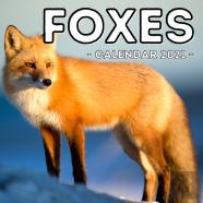 Foxes Calendar 2021