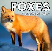 Foxes Calendar 2021