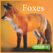 Foxes Calendar 2022