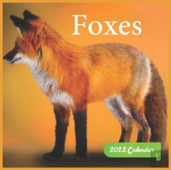 Bertrand.pt - Foxes Calendar 2022