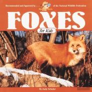 Foxes For Kids