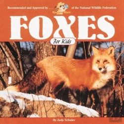 Bertrand.pt - Foxes For Kids