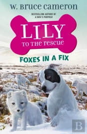 Foxes In A Fix