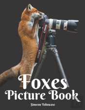 Foxes Picture Book