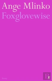 Foxglovewise