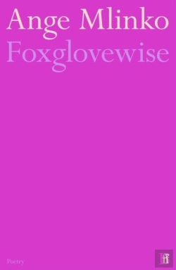 Bertrand.pt - Foxglovewise