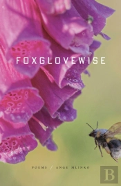 Foxglovewise
