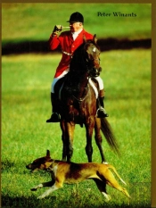 Foxhunting With Melvin Poe