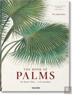 Bertrand.pt - Fp-Martius. The Book Of Palms