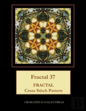 Fractal 37