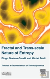 Fractal And Trans-Scale Nature Of Entropy