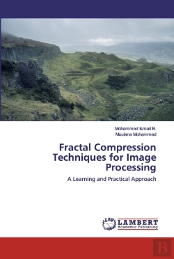 Bertrand.pt - Fractal Compression Techniques For Image Processing