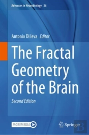 Fractal Geometry Of The Brain